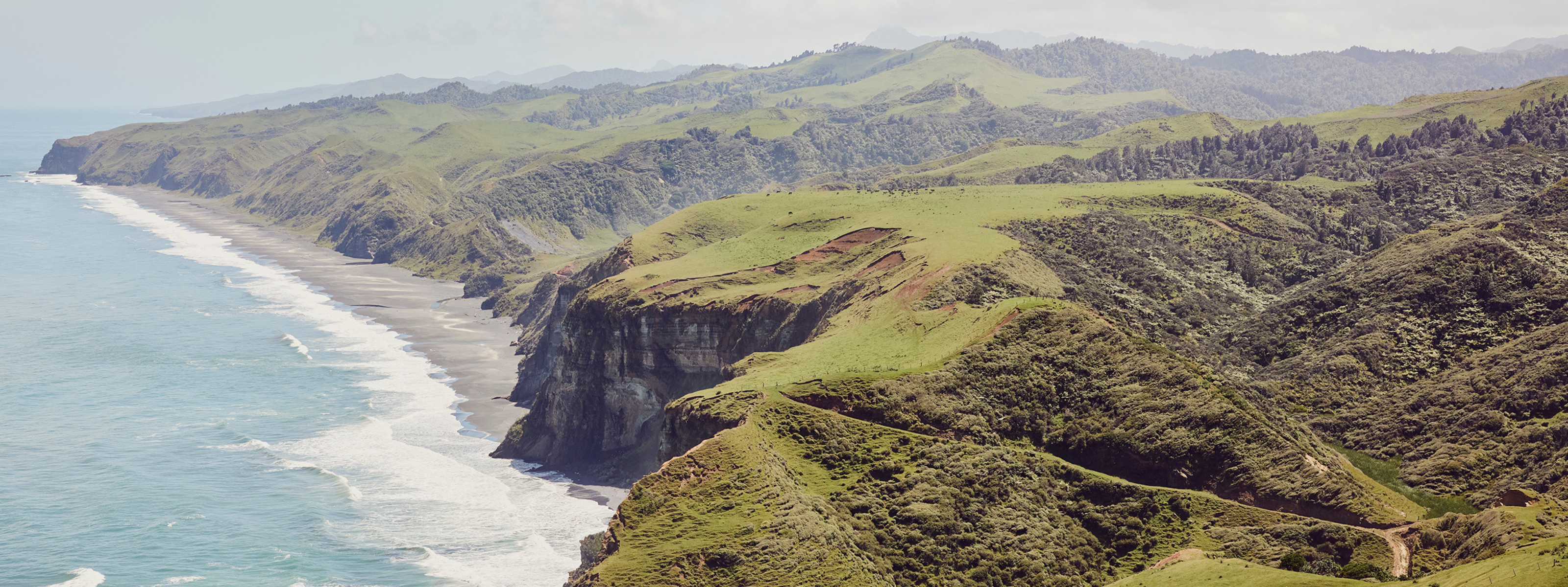 Egmont Honey Sponsorships and Community Support