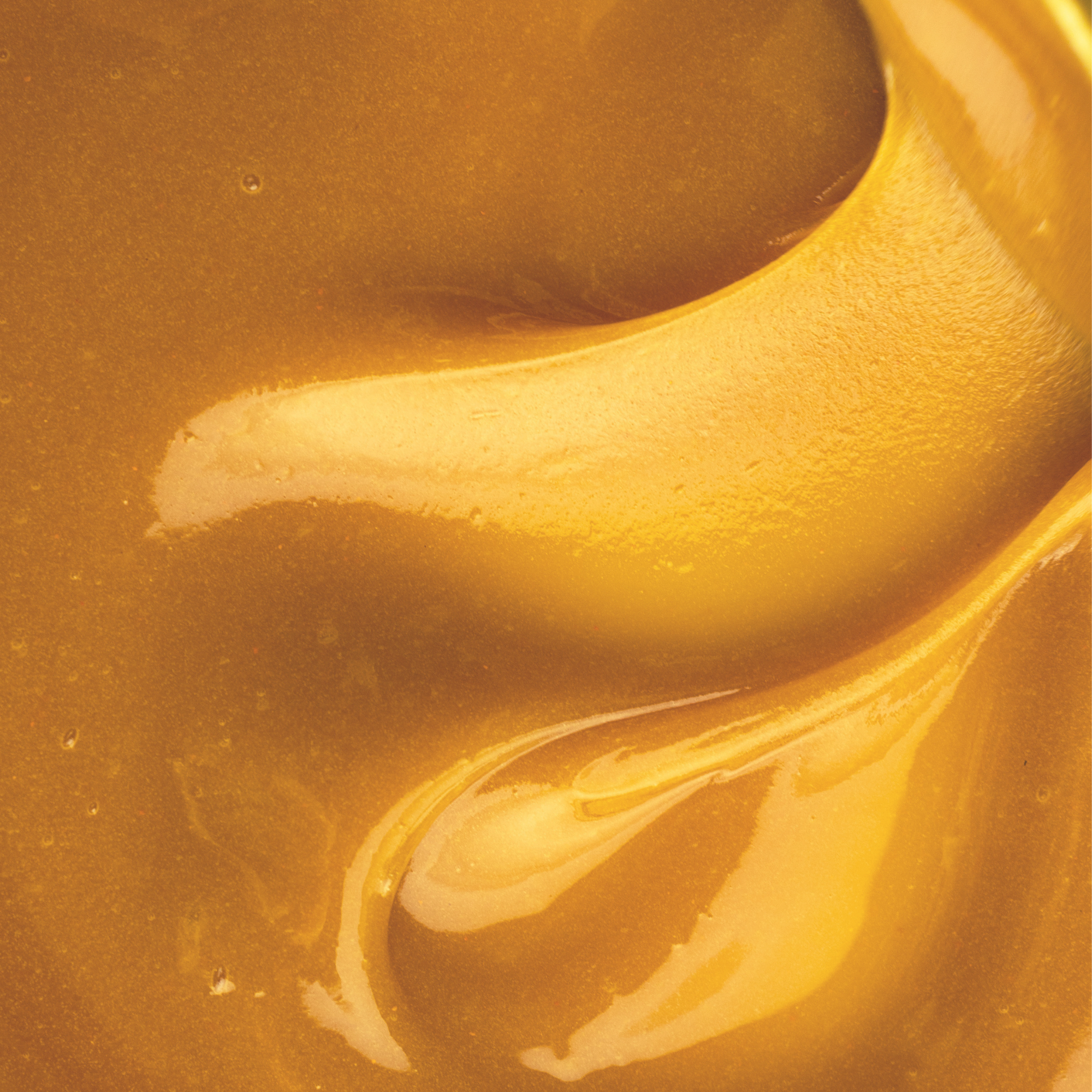 The Mānuka Honey Discovery Bundle
