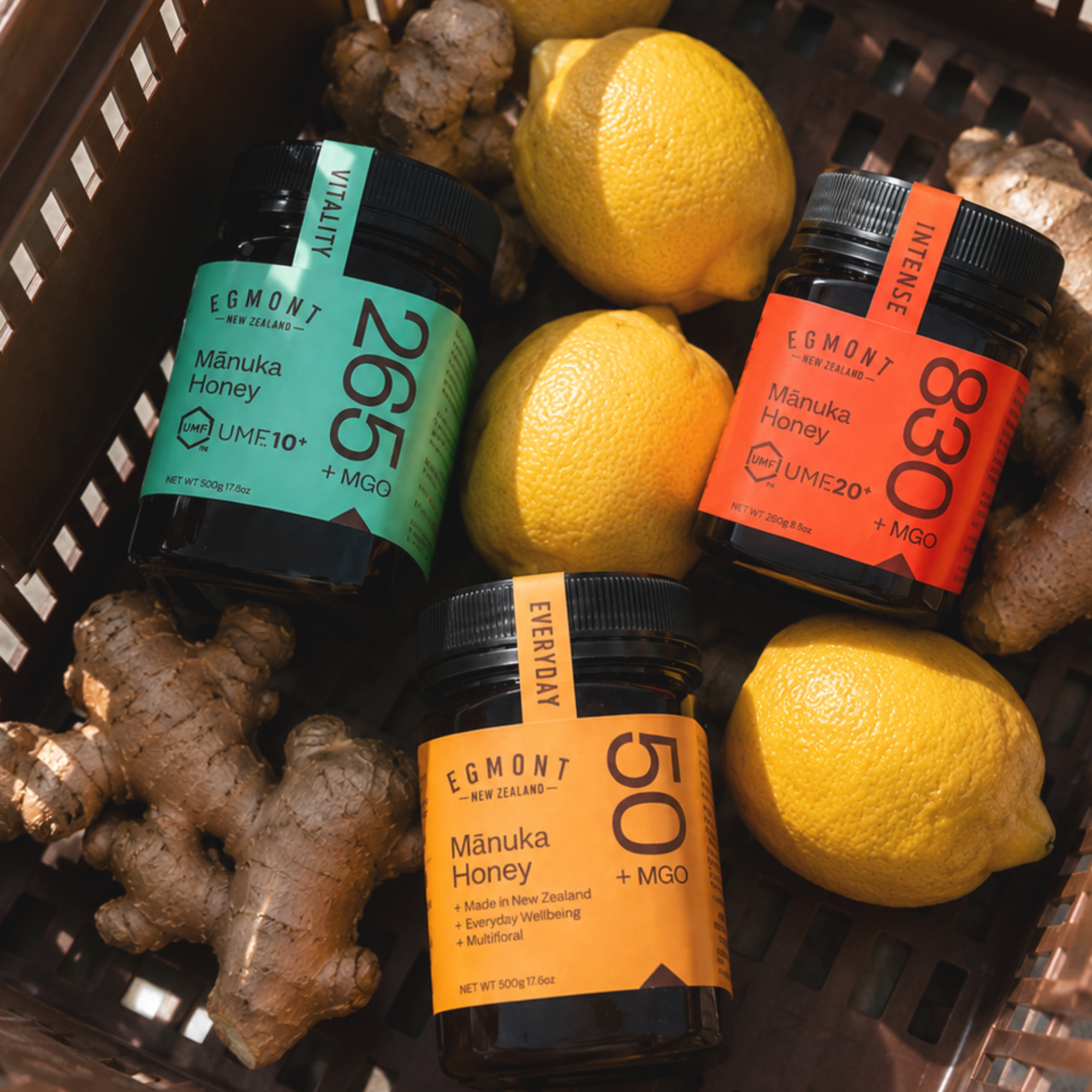 The Mānuka Honey Discovery Bundle